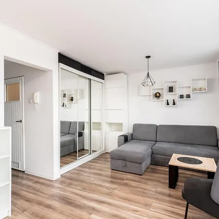 Park Tysiaclecia Grey Studio Daire *