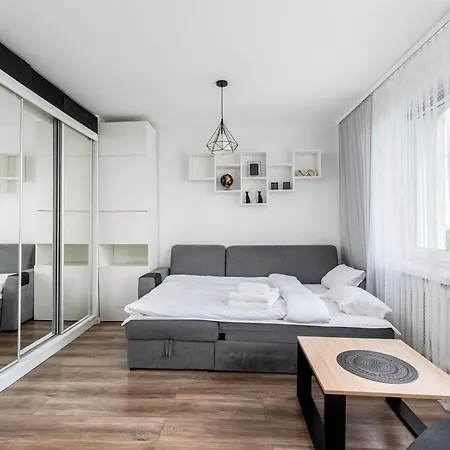 Park Tysiaclecia Grey Studio Daire Krakow