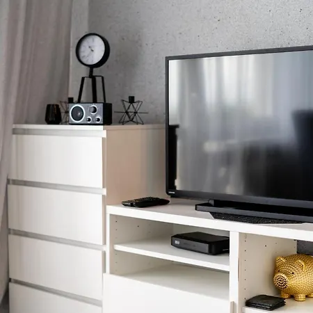 Park Tysiaclecia Grey Studio Daire
